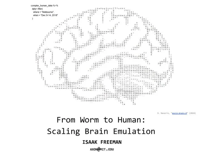 Brain simulation